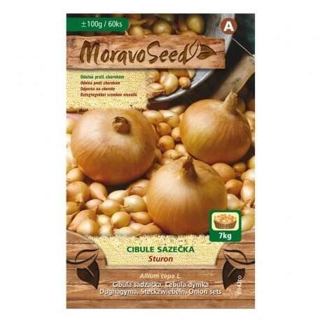 Žlutá cibule sazečka Sturon, MoravoSeed, 100 g