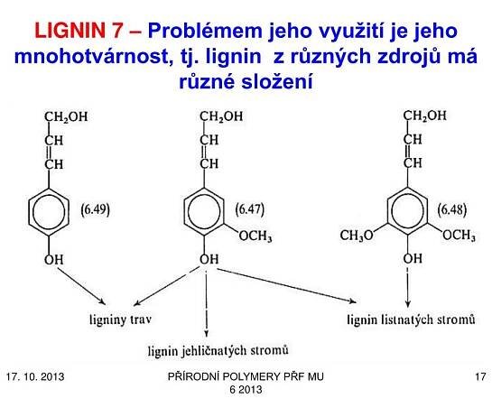 PPT - PŘÍRODNÍ POLYMERY Polyfenoly : lignin, třísloviny, huminové kyseliny PowerPoint Presentation - ID:4261492