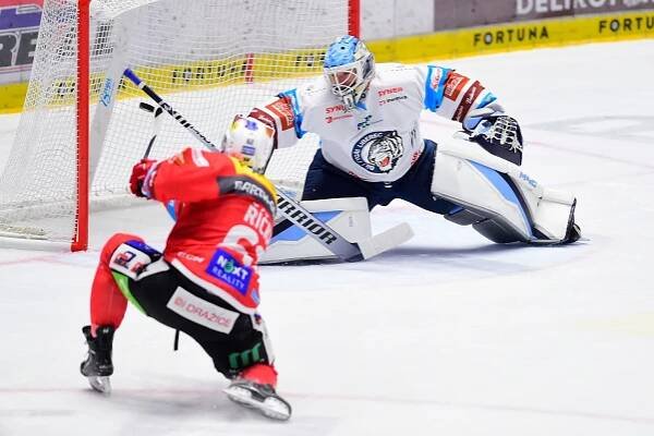 Pardubice - Liberec LIVE [29.11.] ELH online 2022