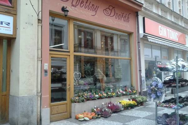 Květiny Dvořák foto 1