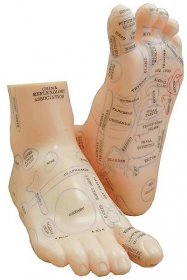 Model nohy pro reflexní masáže chodidel, 20 cm, pár