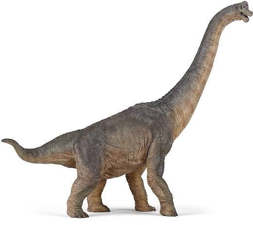PAPO Brachiosaurus