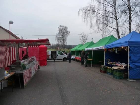Rozsvěcení vánočního stromu 2015 - Obec Sadová
