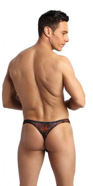 Pánská tanga Anais vícebarevná (Chill String)