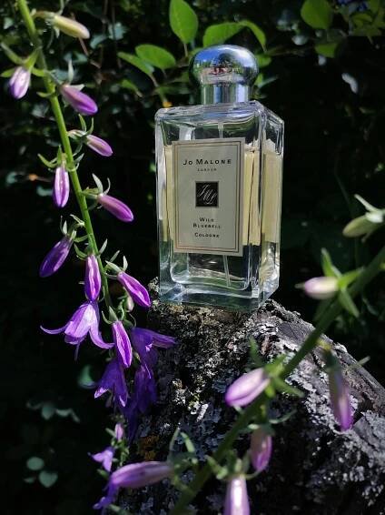 Wild Bluebell Jo Malone London pro ženy