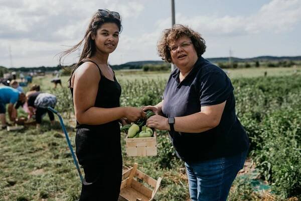 Odnesli si 40 melounů za pár korun. Žádná loterie, ale samosběr na farmě za Prahou