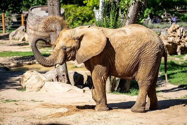 Návštěvnický rekord i řada odchovů. Zoo Zlín hlásí nejlepší rok v historii