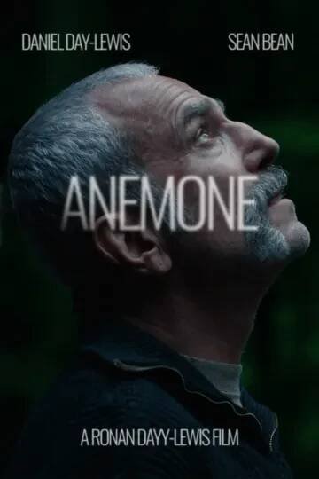 Anemone