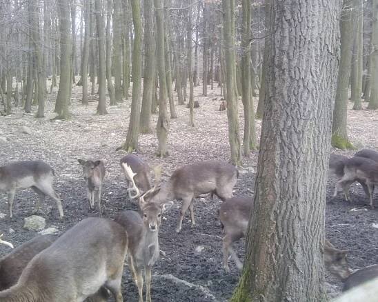 THE 10 BEST Parks & Nature Attractions in Liberec Region (2025)