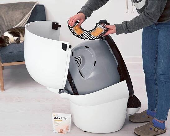 Two cats with Litter-Robot 4