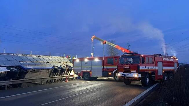 V kamionu při nehodě uvízly desítky krav. Dálnice D8 byla celý den uzavřená