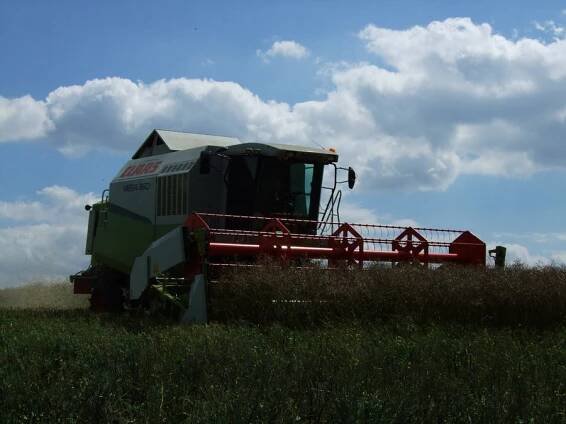 Claas
