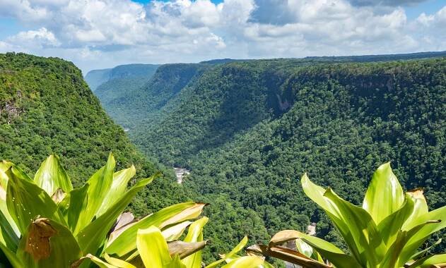 Guyana Travel Information and Guide