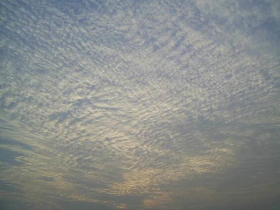 Cirrocumulus clouds