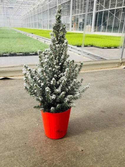 Gallery - Paridon Horticultural Ltd