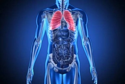 Digitální blue člověka s zvýrazněné plíce — Stock obrázek