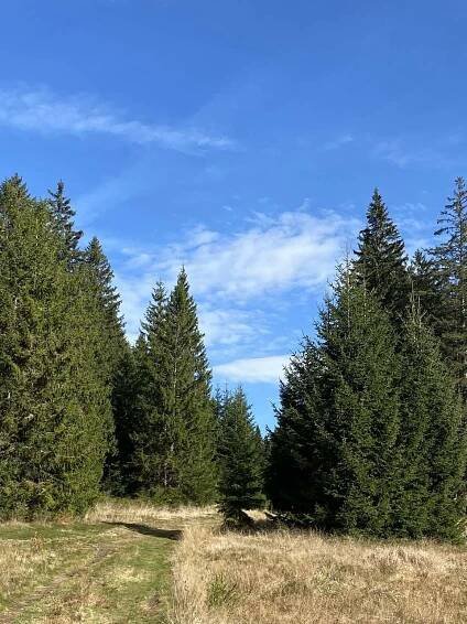 Ubytování Chlum u Volar, Apartmán Nad údolím Šumava - Šumava apartmán, 19371
