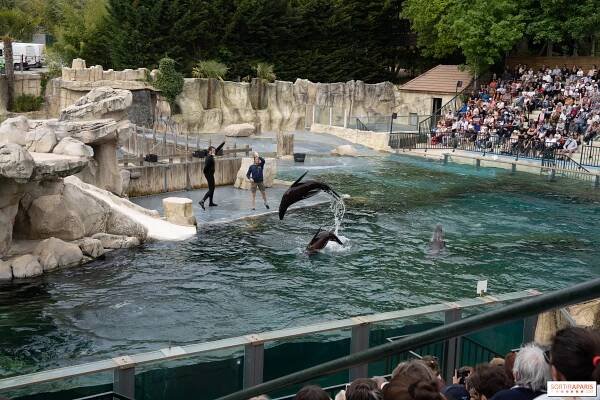 Zoo Beauval, tipy a triky pro návštěvu parku - Sortiraparis.com