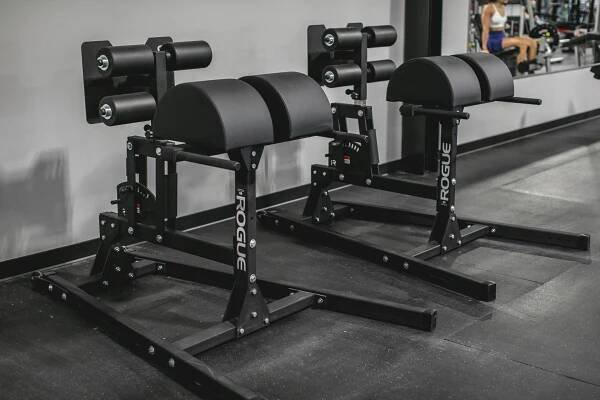 Two rogue exercise machines are sitting next to each other in a gym.