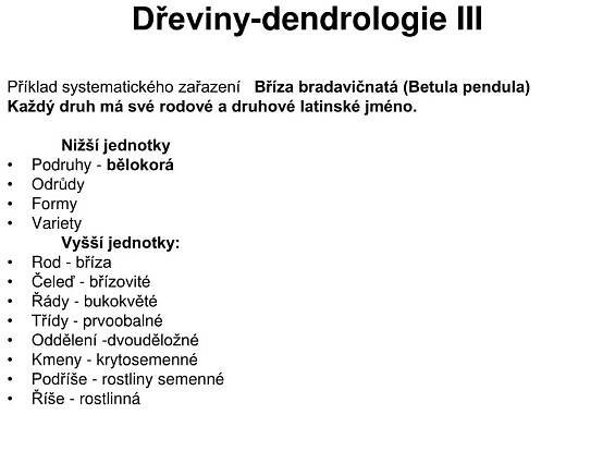 PPT - Dřeviny-dendrologie-úvod PowerPoint Presentation, free download - ID:3893211