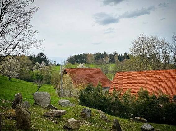 Pod šumavskou lípou, ubytování Mokrosuky - Lešišov - Šumava, 6759
