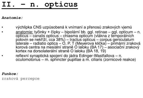 PPT - Hlavové nervy I. – VI. PowerPoint Presentation, free download - ID:5793102