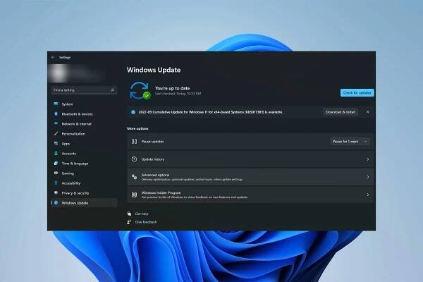 Windows Hello Not Available on Domain? Here’s Why and What You Can Do