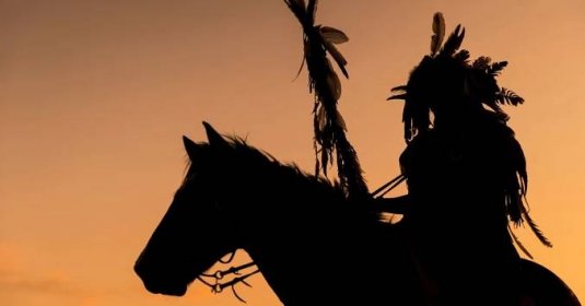 Jaký je původ koní amerických indiánů? Vědecká studie vyvrací zaběhlé představy - ČESKÉSTAVBY.cz