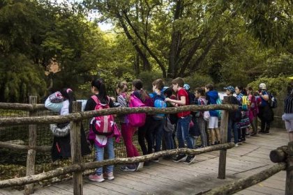 OBRAZEM: Den dětí v Zoo Praha. Malé návštěvníky čekaly chůdy i skákací hrad