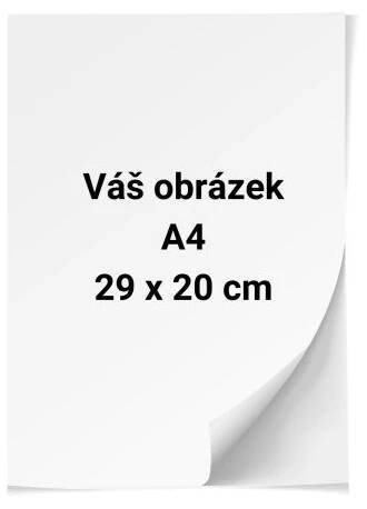 Jedlý papír A4 tisk