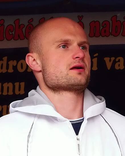 Michal Dvořák (lední hokejista)