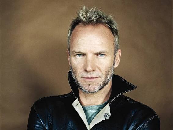 Sting Wallpaper