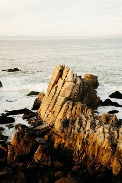Scuba Dive, Snorkel, & Surf at Lover’s Point Park, Monterey