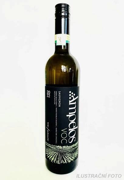 Sauvignon 2024 VOC