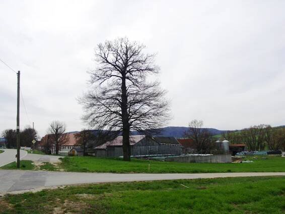 Lengenfeld (Alesheim)