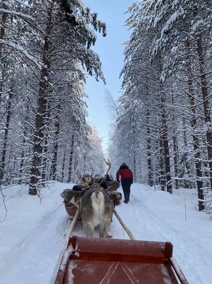 Santa Claus Reindeer
