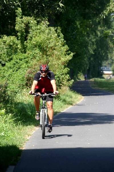 Cyklostezka u řeky Moravy z Napajedel do Otrokovic.