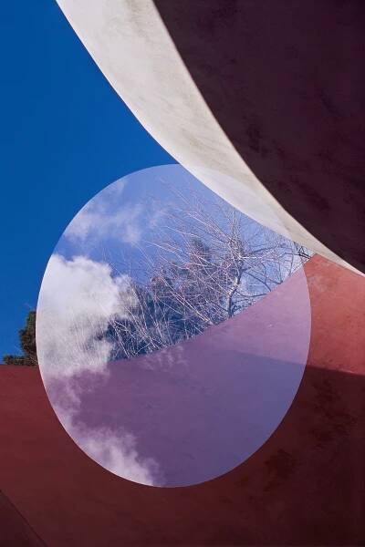 David-Goldberg-Horticulture-08