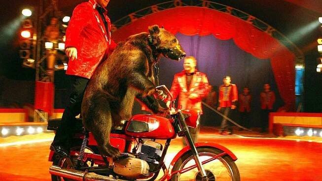 Národní cirkus Berousek míří do Šumperka