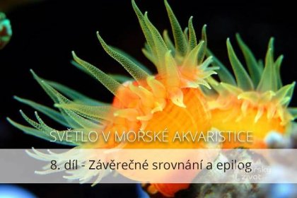 Světlo v mořské akvaristice, 8. díl - morskyzivot.cz