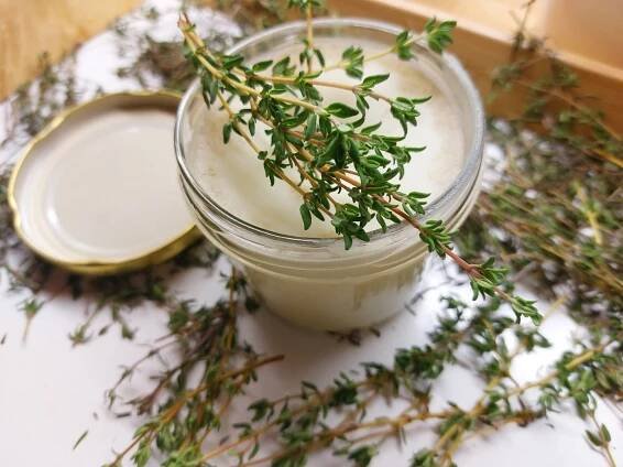 DIY: Tymiánová mast podle receptu našich babiček - blog.velkykosik.cz