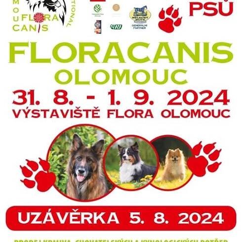 Mezinárodní výstava psů: Floracanis 2024 1