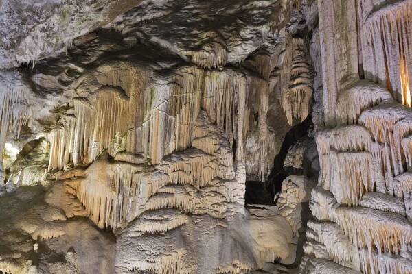 Postojna Cave - Tickets, opening hours and useful info