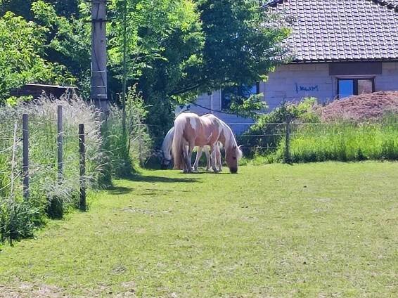Jarošův statek Studénka - MŠ Barevný svět