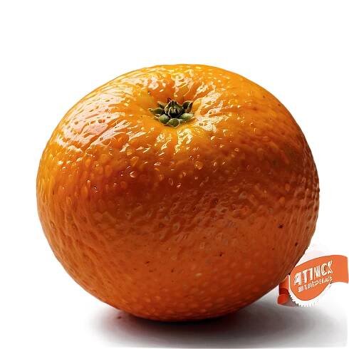 Isolated Orange On White Png Iqe7 PNG
