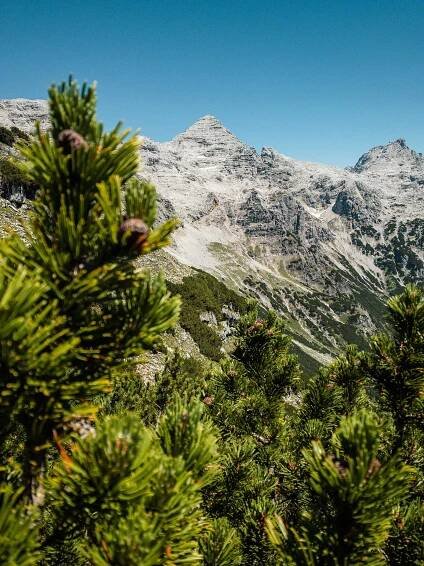 Der höchste Berg der Loferer Steinberge: das Mitterhorn mit 2.506 m