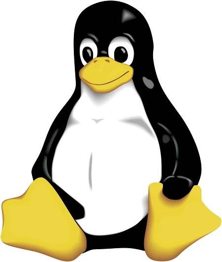 codium software development, full stack software development and mobile applications