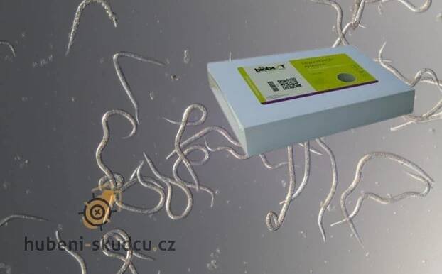 Parazitické hlístice: Biologická ochrana rostlin před škůdci