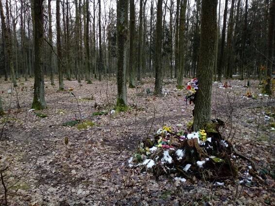 Temný Branišovský les: Duchy nenašli, hřbitov zvířátek ano