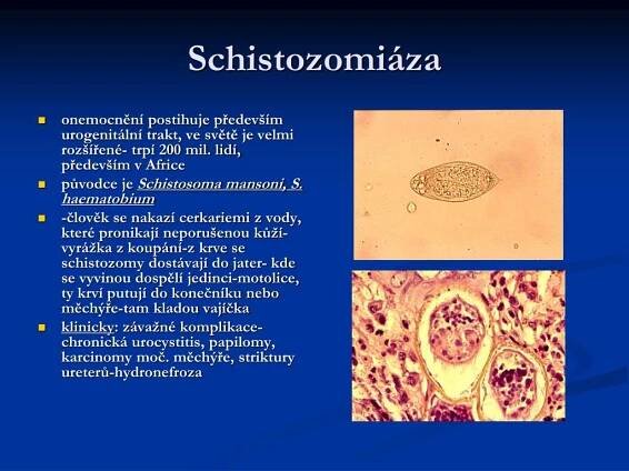 PPT - Etiologická patologie PowerPoint Presentation, free download - ID:5061351
